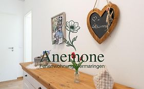 Ferienwohnung Anemone - 4 Zimmer mit Bergblick&Alpenflair